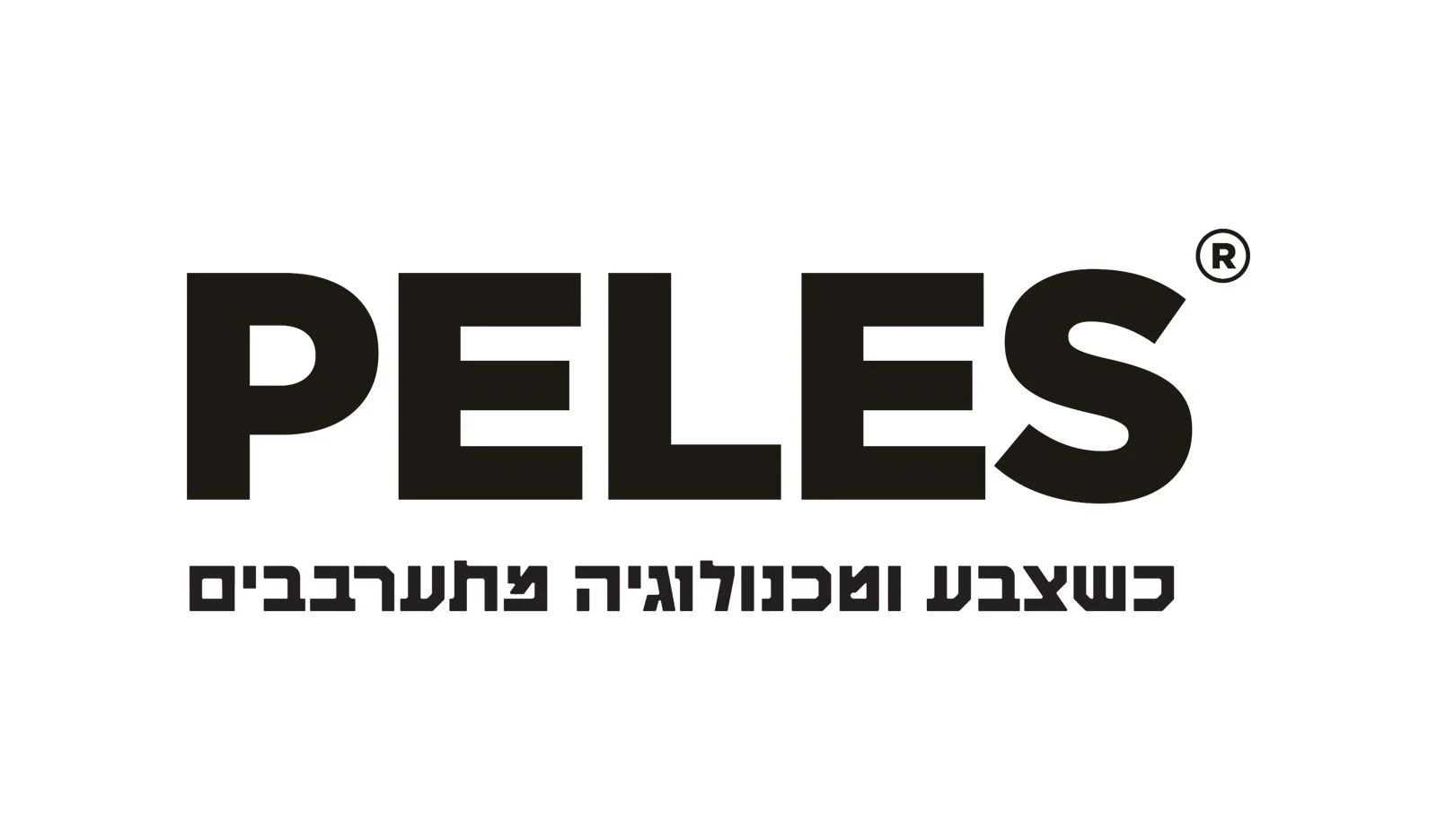 לוגו פלס